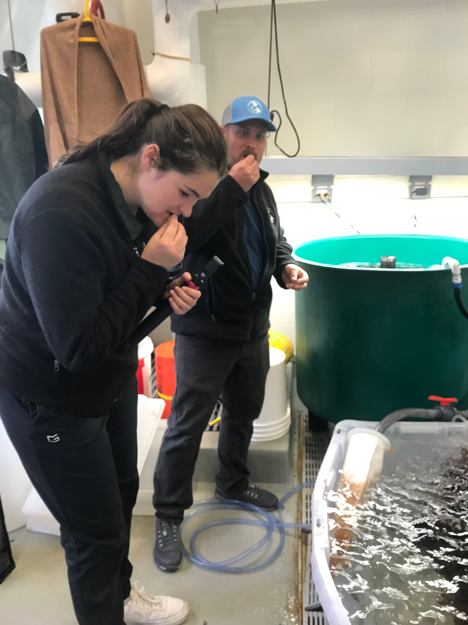 trying red seaweed