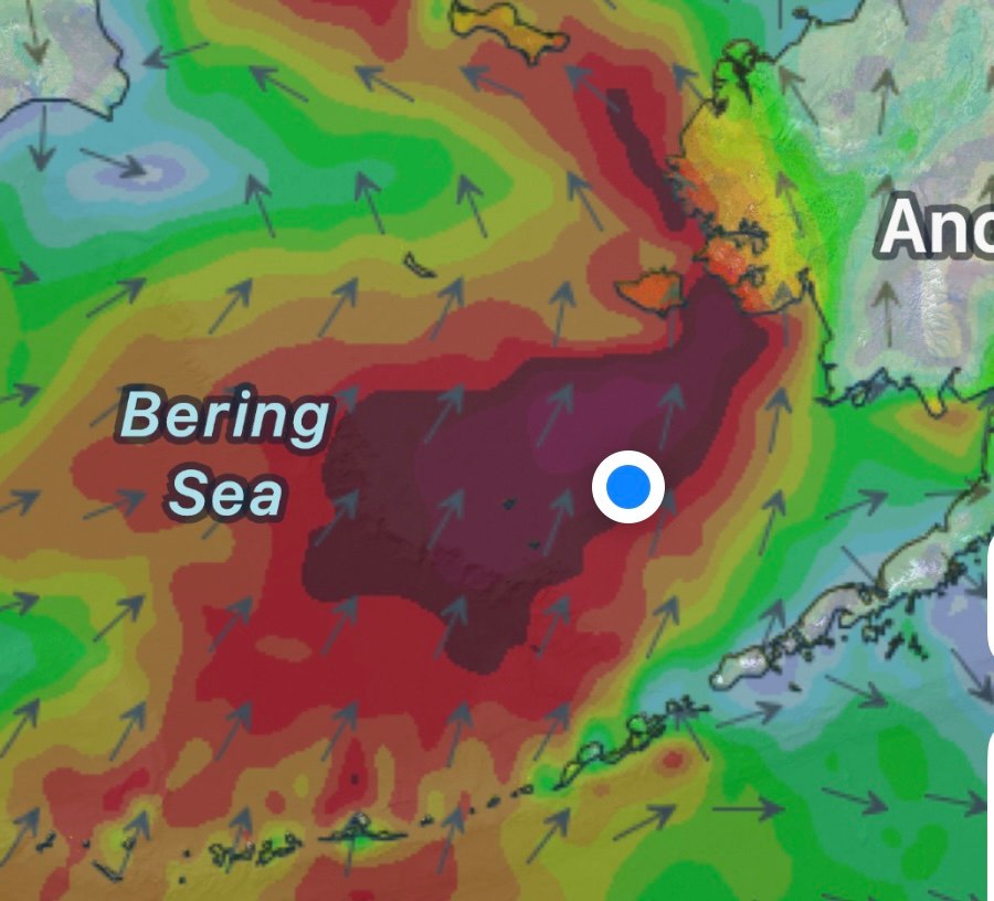 forecast