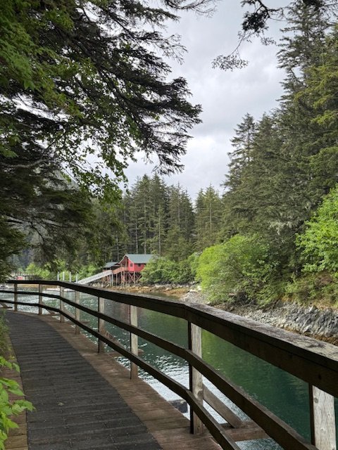Pathway around Elfin Cove