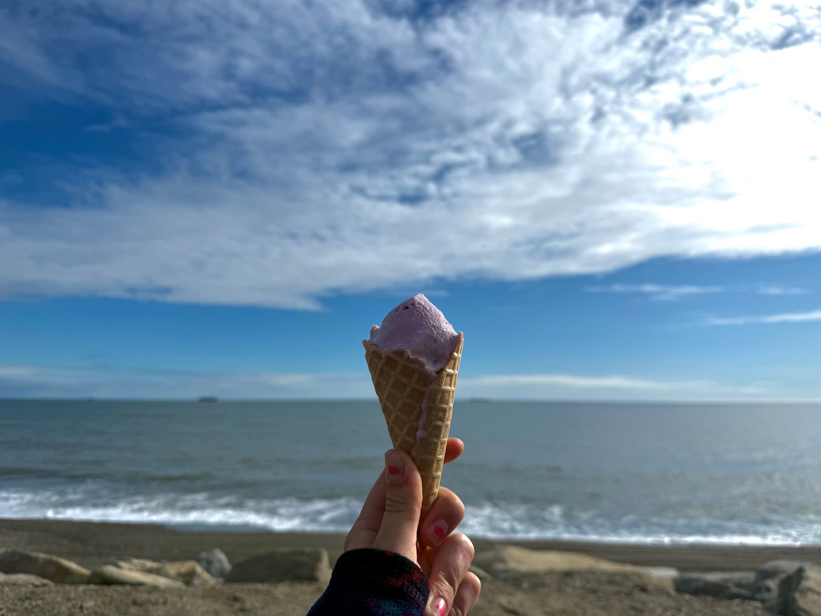 Fireweed ice cream in Nome