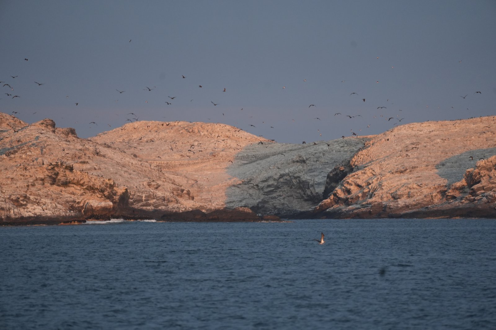 Birds darkening the horizon as we enter Isla Lobos de Afuera