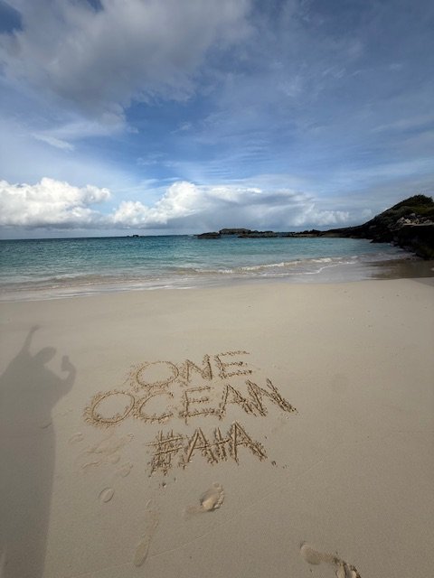 Beach in Bermuda #oneocean