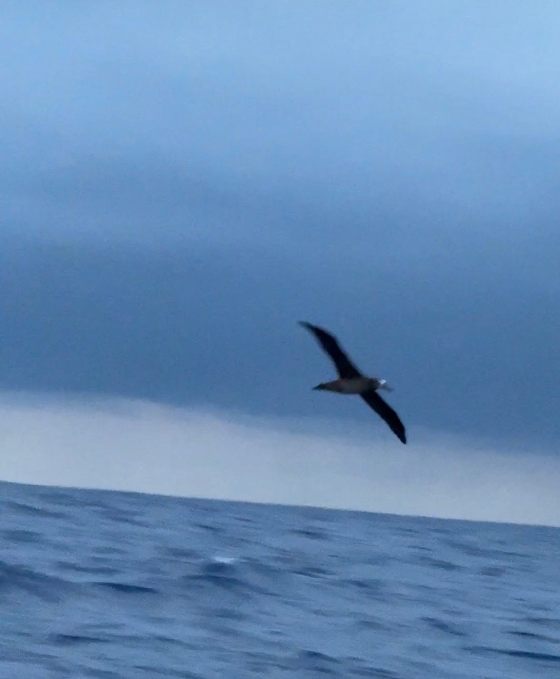 Pacific Crossing