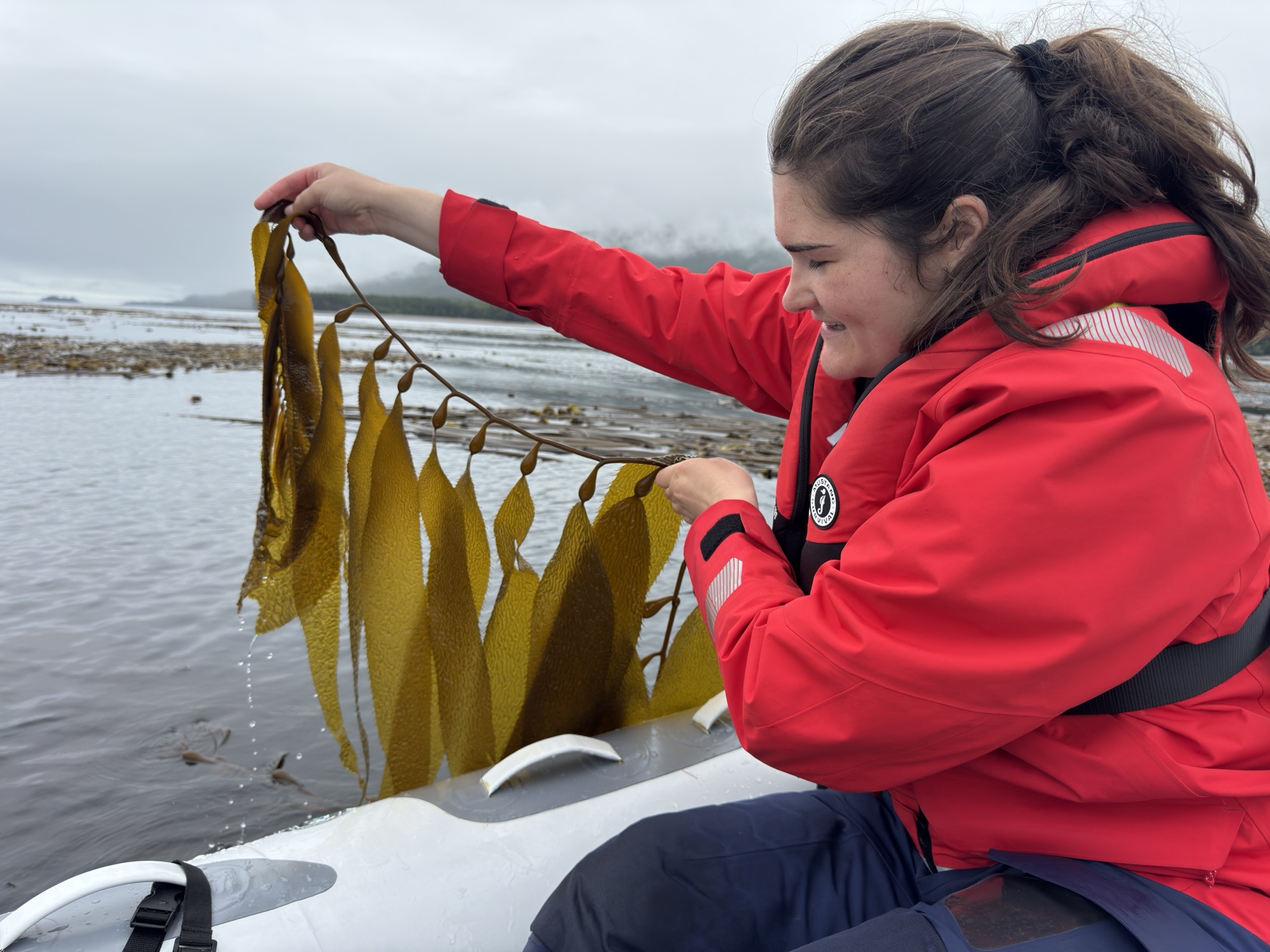 Crew member holding a bull kelp sample beside the boat