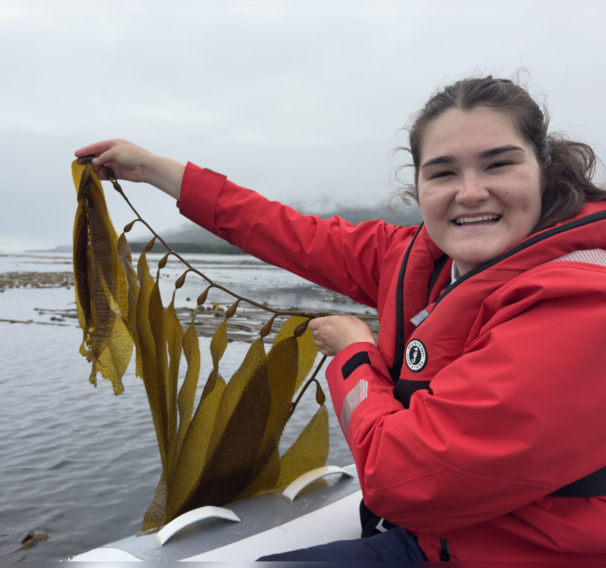 Giant Kelp