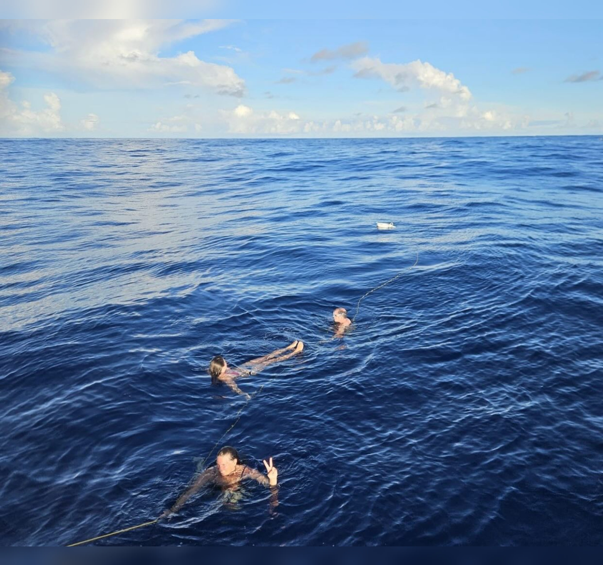 Swimming in the Pacific 🌊 Yesterday, flat calm seas permitted a moment for us to stop t…