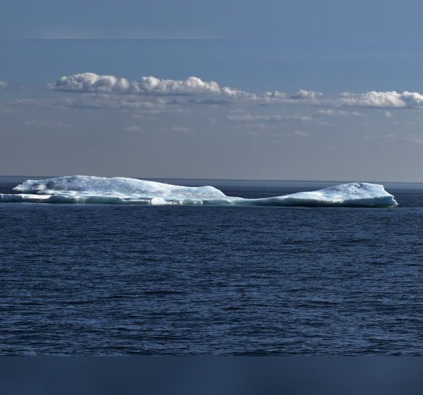 ice