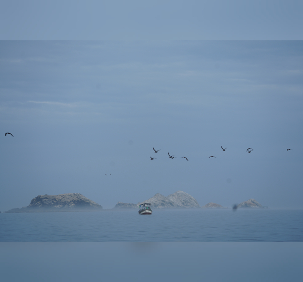 Birds and boat- Isla Lobos de Afuera