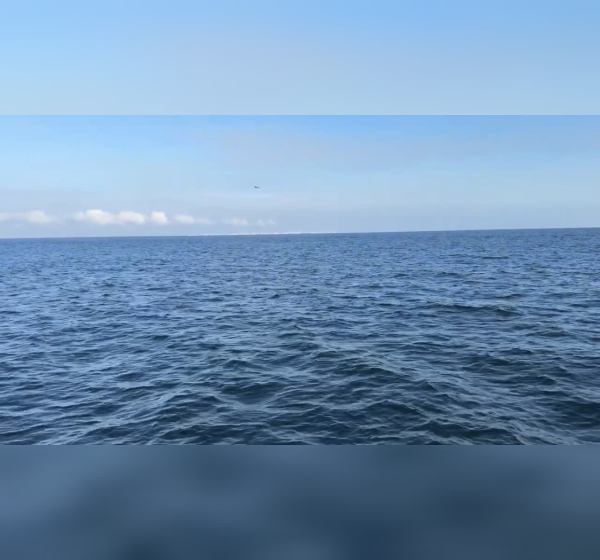 Ocean
