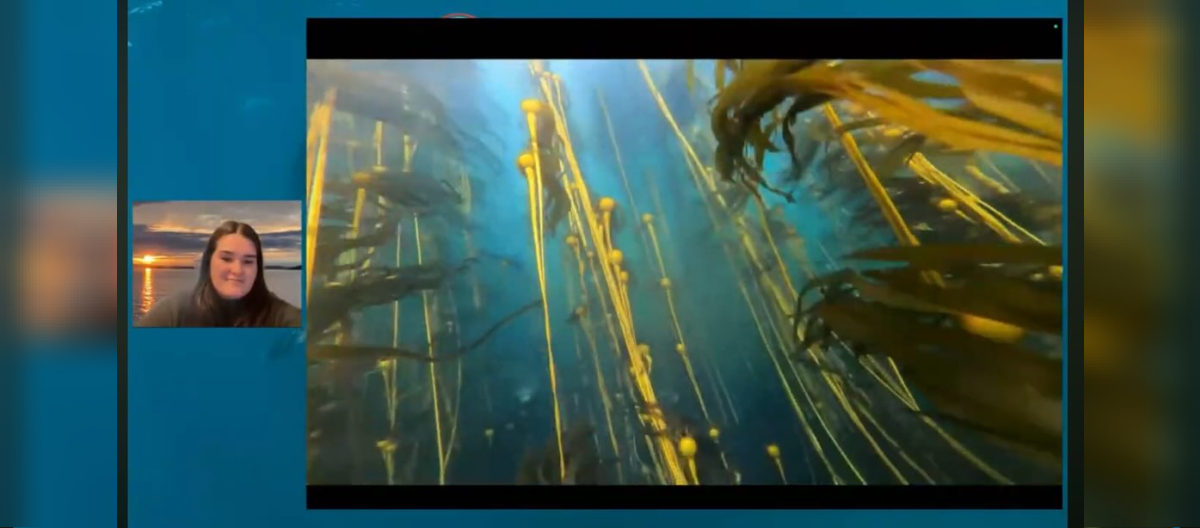 Watch our classroom on Bull and Giant kelp with Marine Biologist, Grace Dalton.