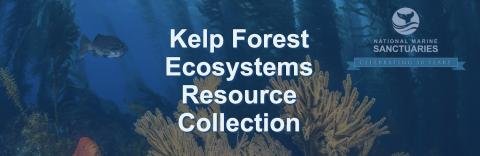 NOAA Kelp Forest Ecosystems Resource Collection