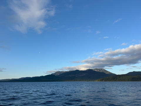 Johnstone Strait at 6 AM