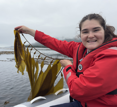 Giant Kelp