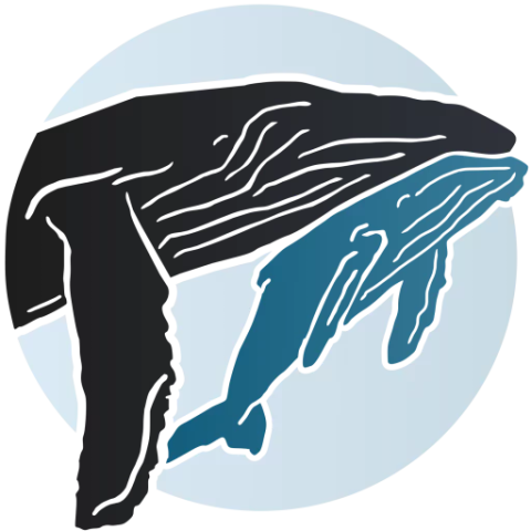 whale