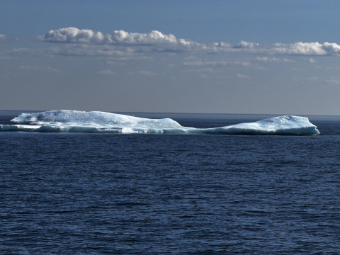 ice