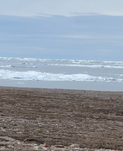ice