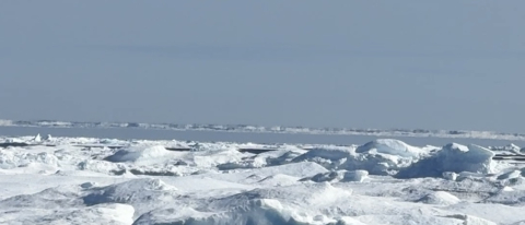 ice