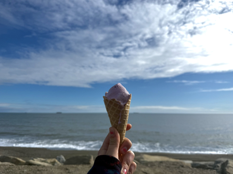 Fireweed ice cream in Nome 
