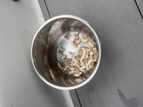 Muktuk bits