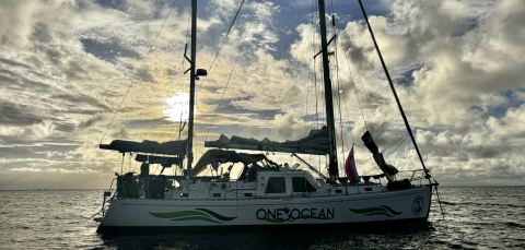 Bocas Del Toro