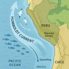 Humboldt Current