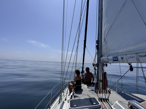 sailing