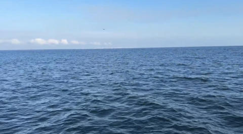 Ocean