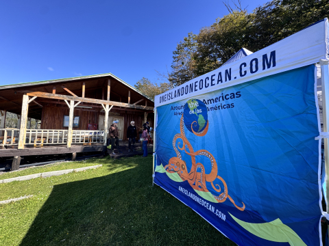 Cedena Sailing School