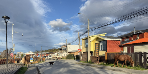 Puerto Williams