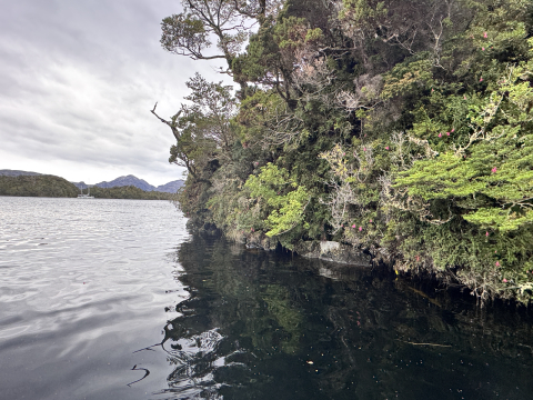 Rocky Shore