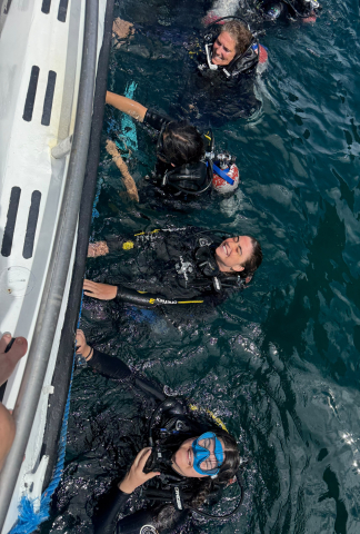 Diving