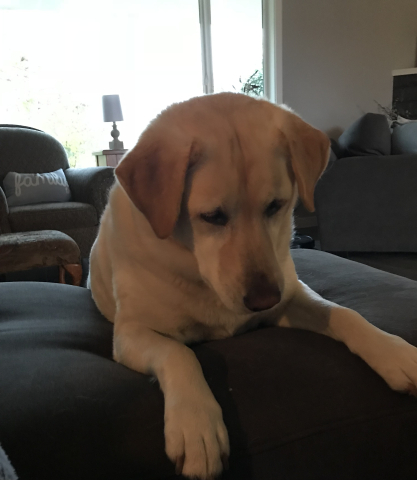 Juno