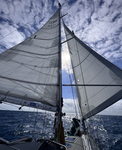 sail
