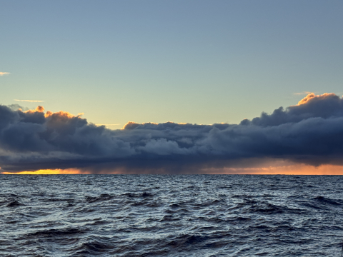 The pacific