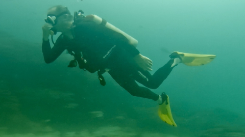 dive