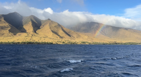 Lahaina