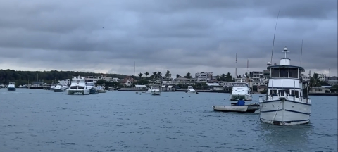 Galapagos