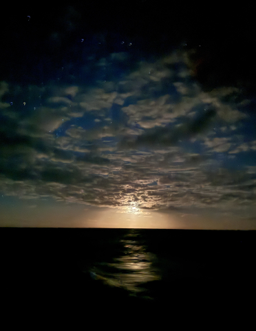 North Pacific