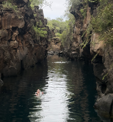 Galapagos
