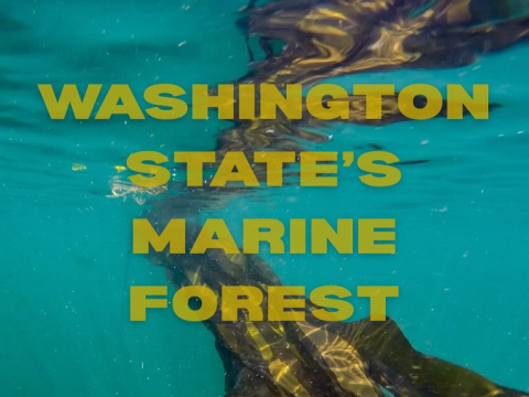 🌲🌊What is House Bill 1631?
