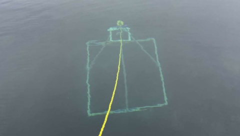 NEW YOUTUBE VIDEO!🌎🌊 Learn how we built our quadrat!