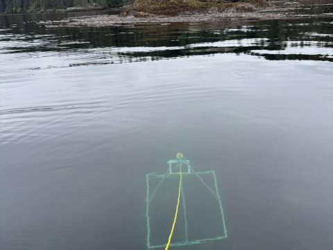 Around the Americas crew collecting data👩‍🔬🌿 Awesome team doing crucial research!