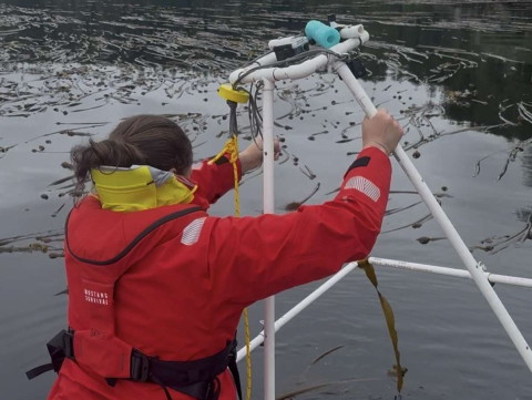 Around the Americas crew collecting data👩‍🔬🌿 Awesome team doing crucial research!
