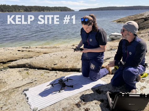 KELP DATA COLLECTION🌿🌊 We have been hard at work collecting kelp data.