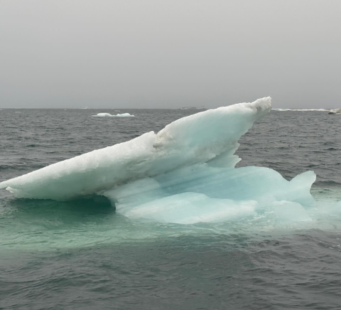 One Ocean is located approximately 149 degrees and hugging the shoreline.