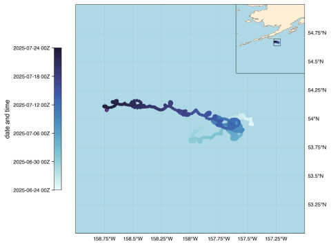 Why is MicroSWIFT Buoy Data important?📊 The One Ocean crew deployed MicroSWIFT 167 in t…