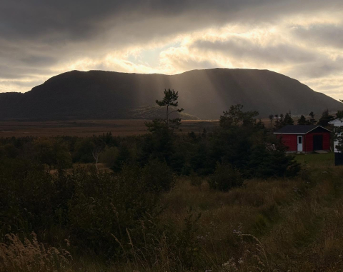 Thank you, beautiful Lark Harbour!