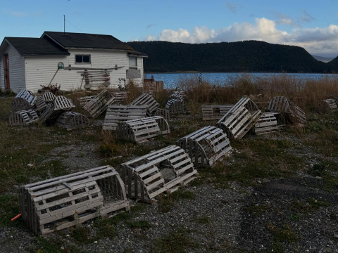 Thank you, beautiful Lark Harbour!