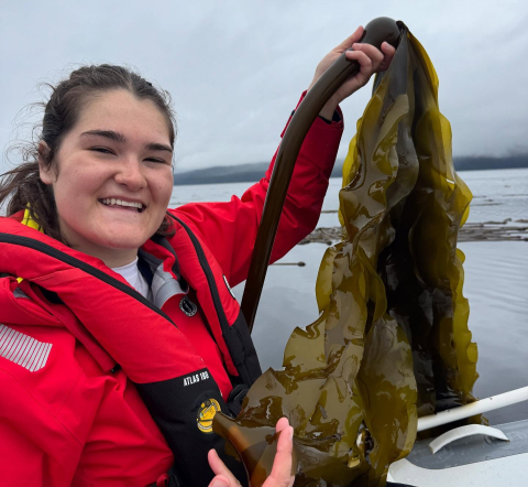 Learn more about Bull & Giant Kelp & why their health matters!🌿 https://www.youtube.com…