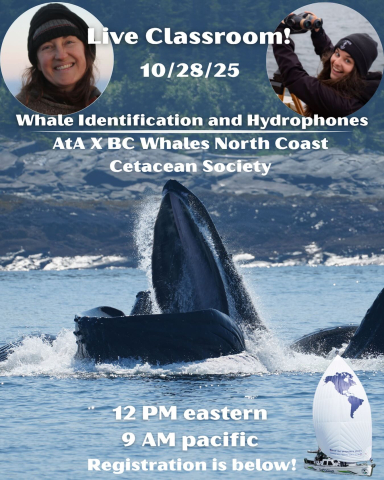 Live Classroom coming up on October 28!!